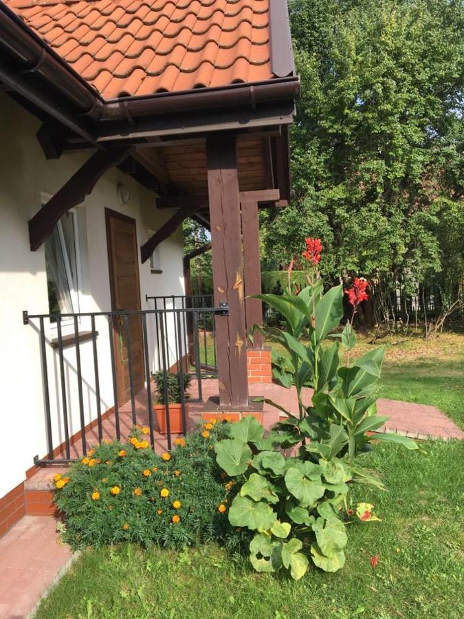 Вілла Dom Pod Bialym Pagajem Піш Екстер'єр фото